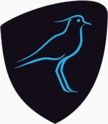 Uruguay national rugby union team